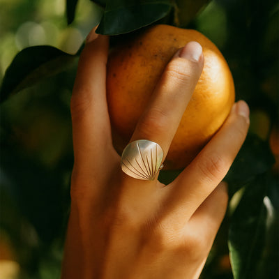 Anillo de concha de plata